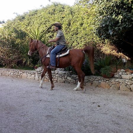 Casato Calabrese Otel Nardò Dış mekan fotoğraf